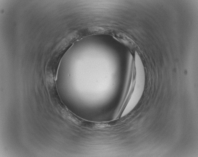 X0000069410617200606021723
