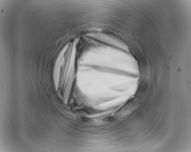 X0000069410623200606021723