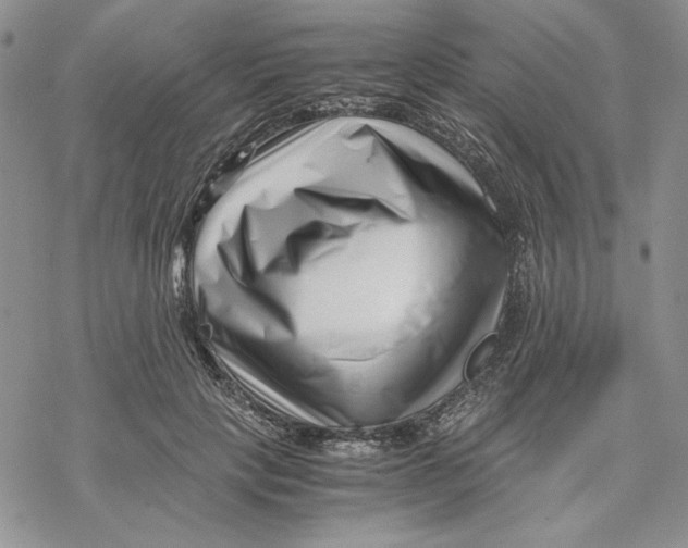 X0000069410649200606021723