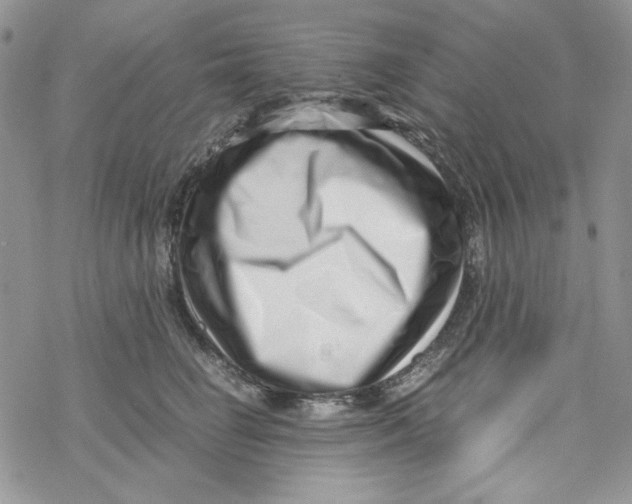 X0000069410662200606021723