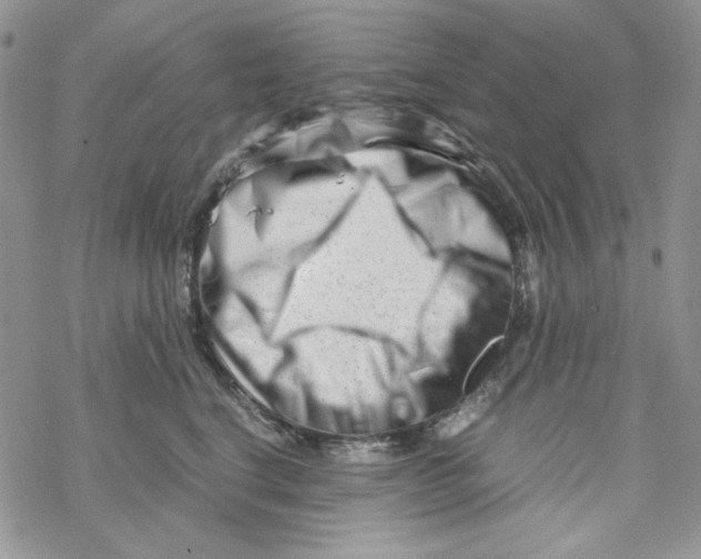 X0000069410664200606021723