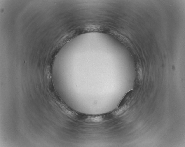 X0000069410665200606021723