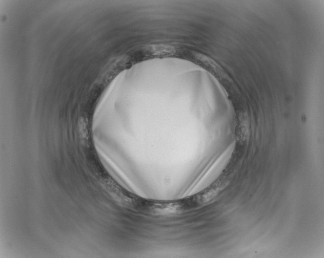 X0000069410667200606021723