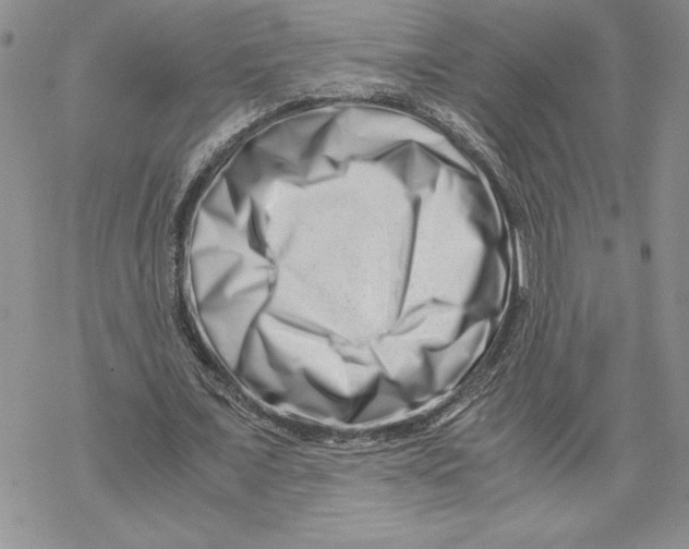X0000069410675200606021722