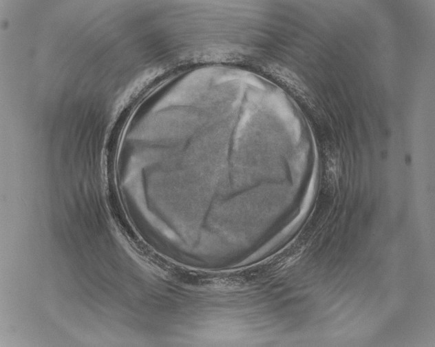 X0000069410678200606021722