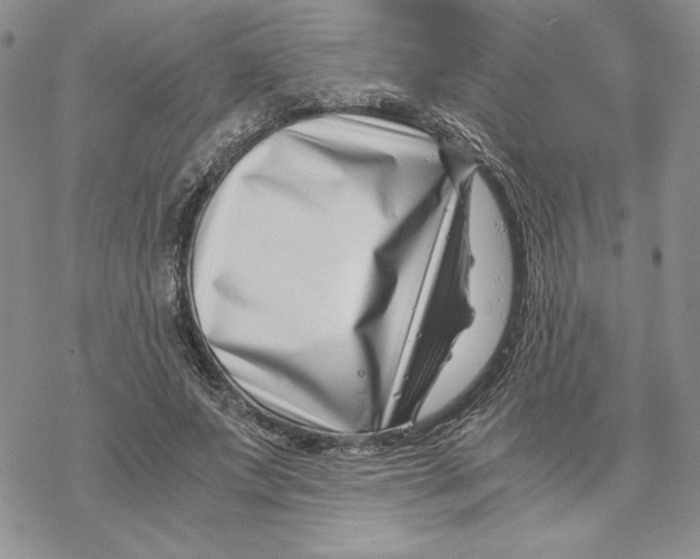 X0000069410687200606021722