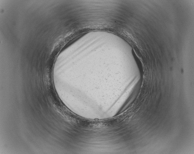 X0000069410688200606021722