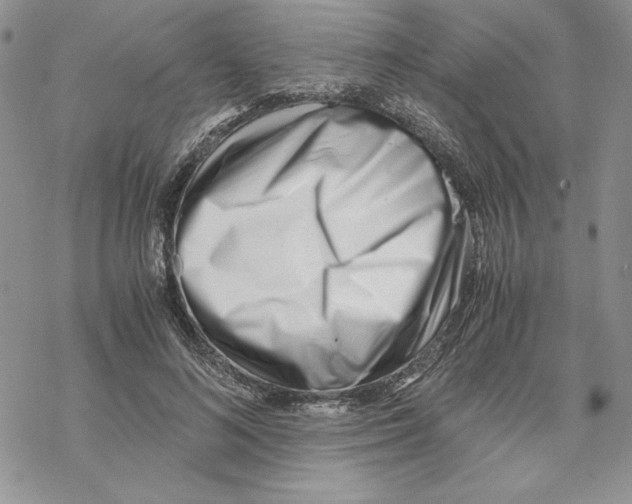 X0000069410692200606021722