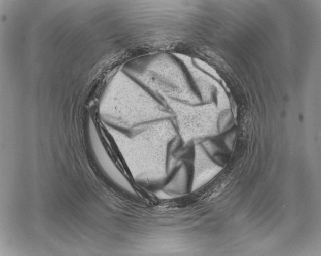 X0000069410693200606021722