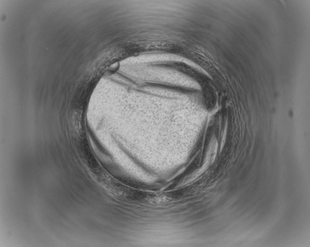X0000069410695200606021722
