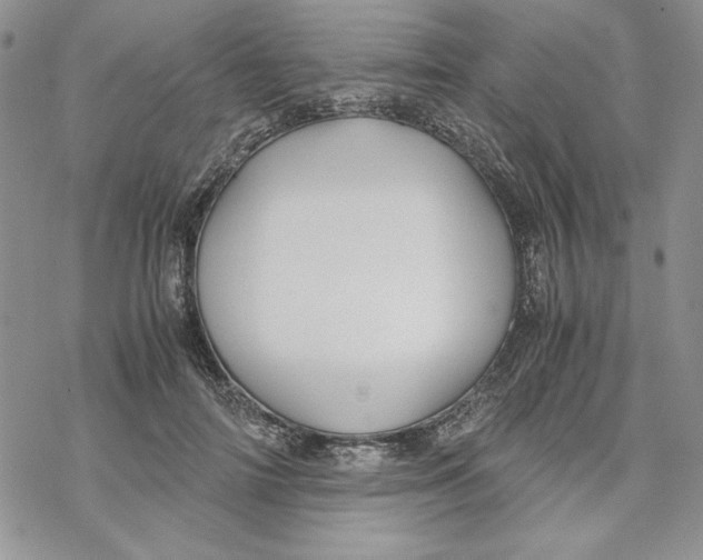 X0000069410698200606021722