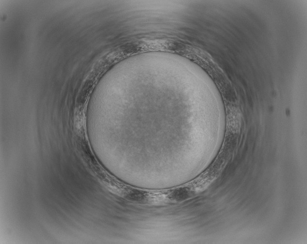 X0000069410701200606021722