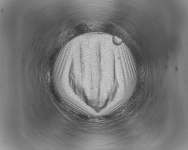 X0000069410703200606021722