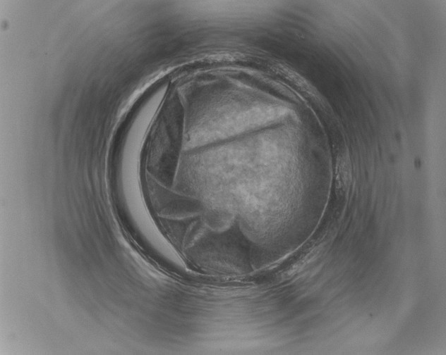 X0000069410722200606021721