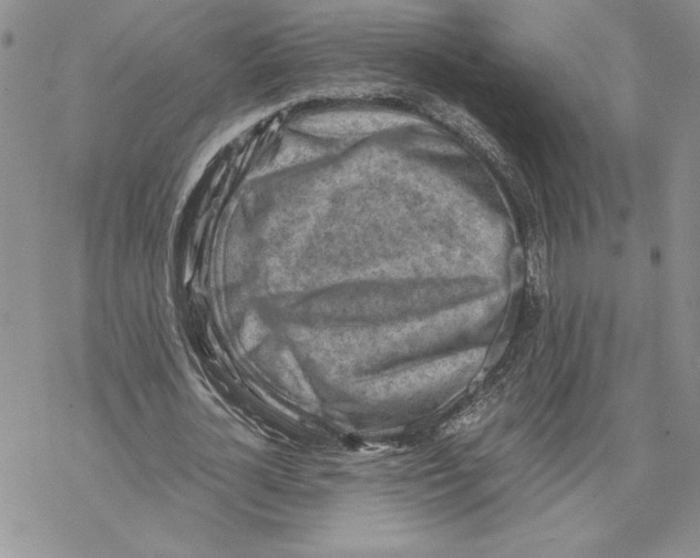 X0000069410724200606021721