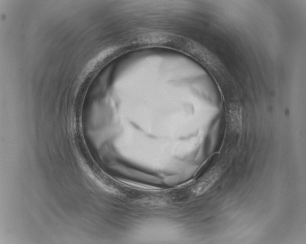 X0000069410726200606021721