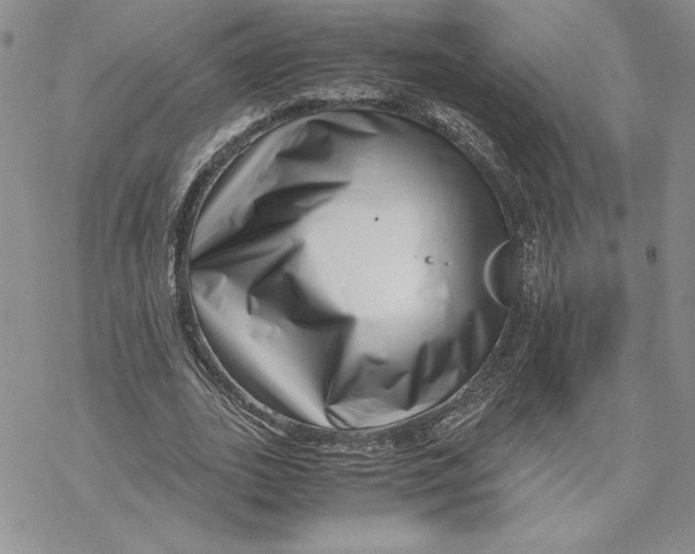 X0000069410727200606021721