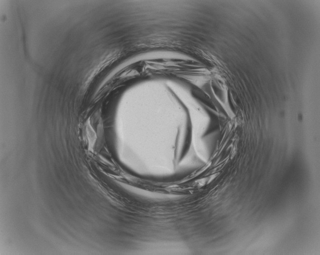 X0000069410735200606021721