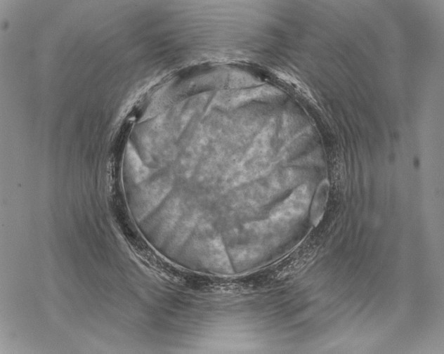 X0000069410736200606021721