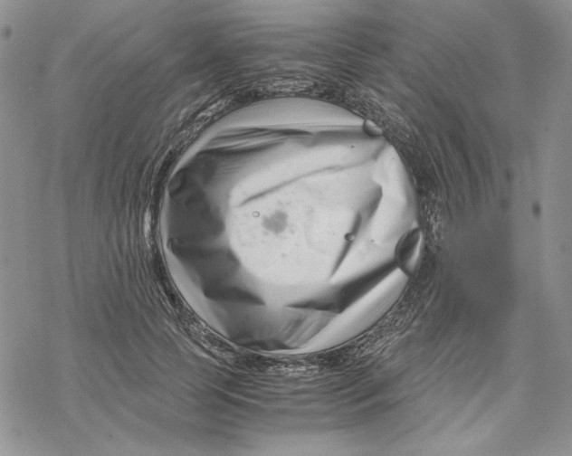 X0000069410745200606021721