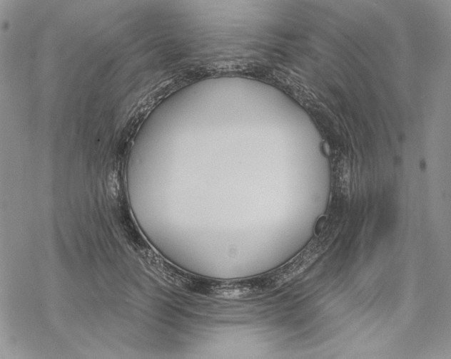 X0000069410746200606021721