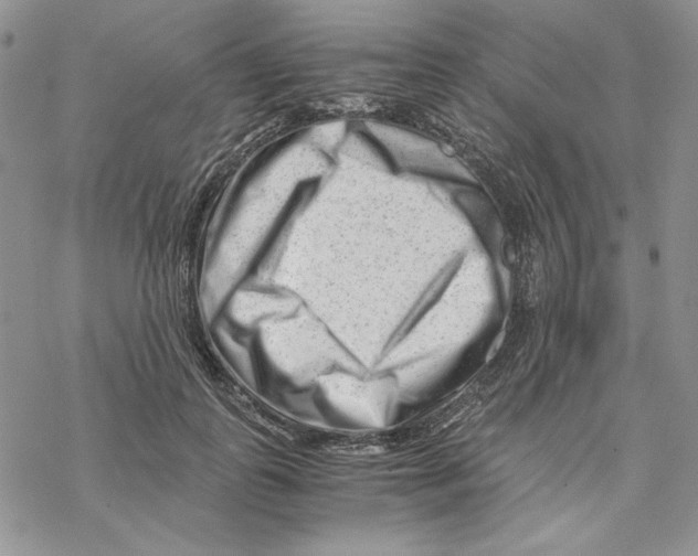 X0000069410747200606021721