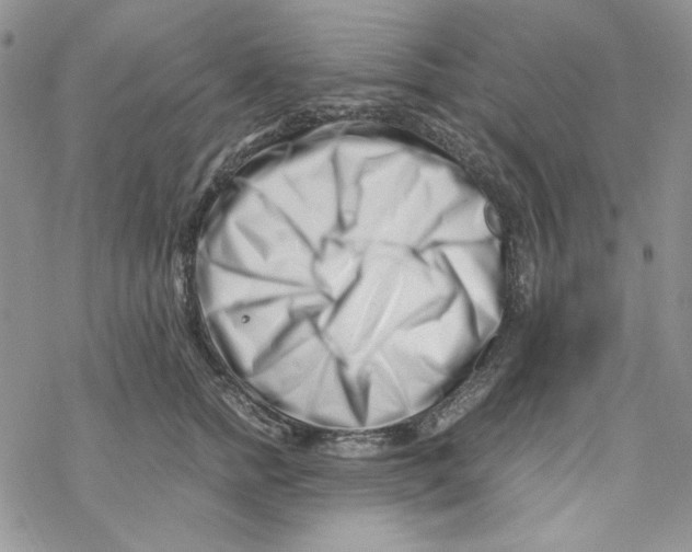 X0000069410758200606021721