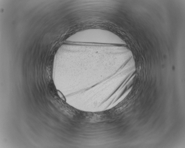 X0000069410772200606021721