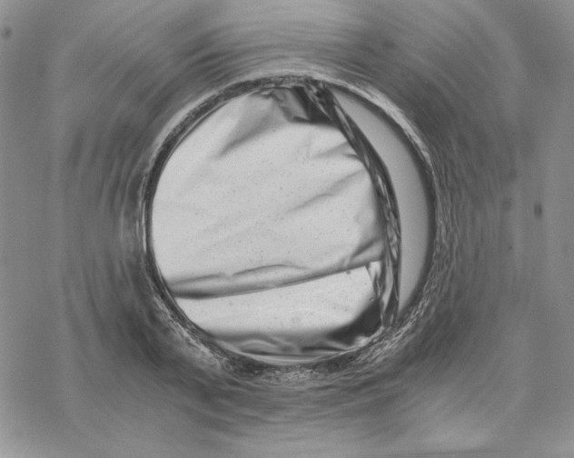 X0000069410791200606021720