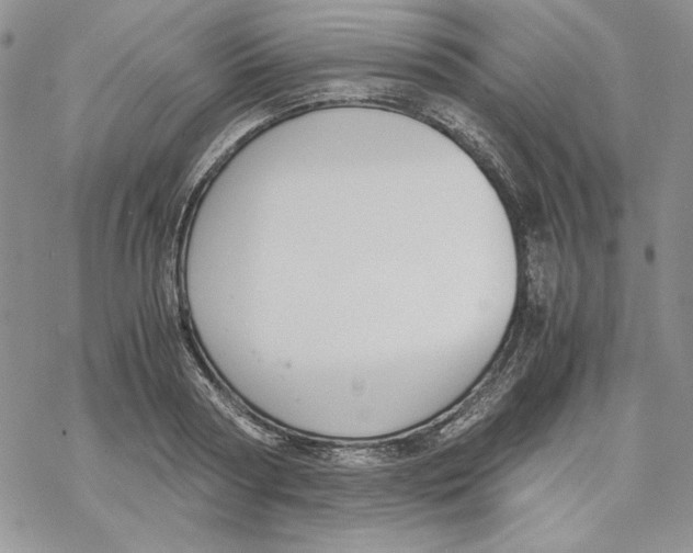 X0000069410794200606021720
