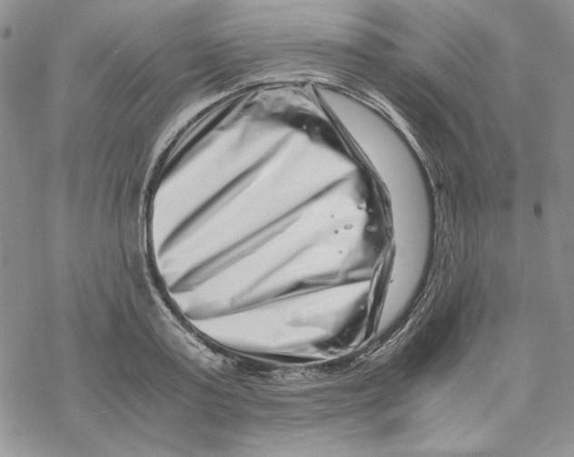 X0000069410795200606021720