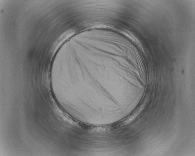 X0000069410806200606021720
