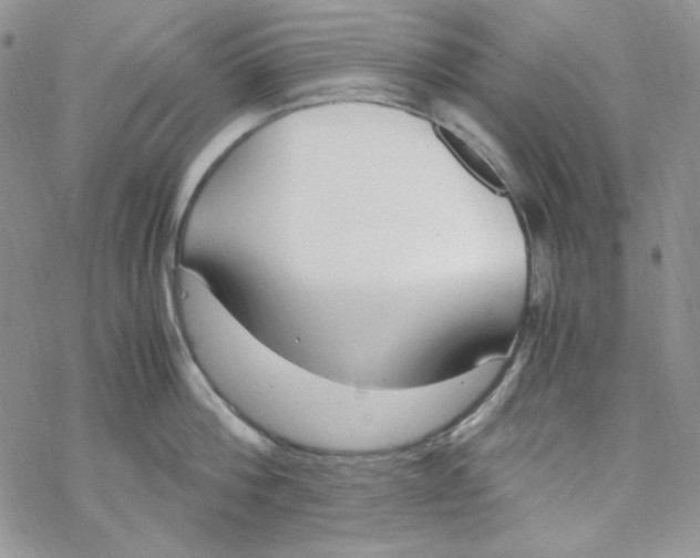 X0000069410812200606021720