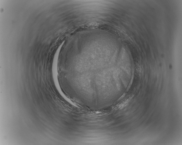 X0000069410818200606021719