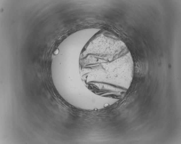 X0000069410820200606021719