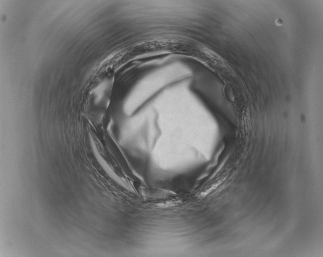 X0000069410822200606021719