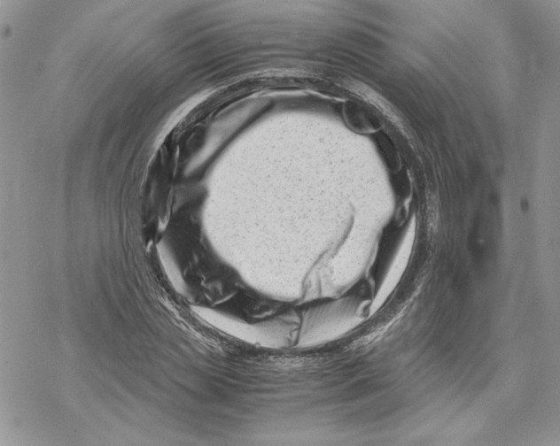 X0000069410829200606021719