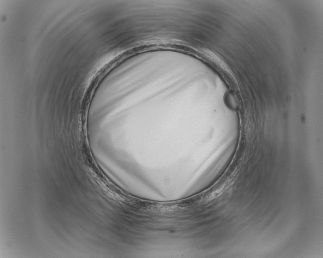 X0000069410831200606021719