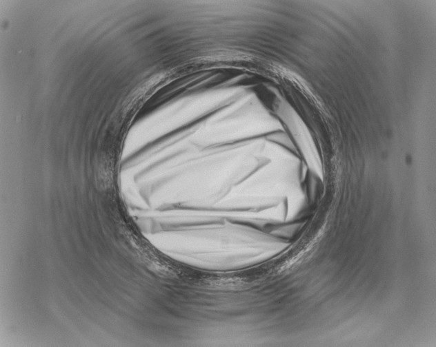 X0000069410833200606021719
