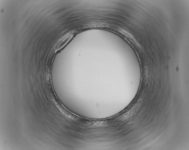 X0000069410841200606021720