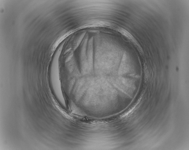 X0000069410842200606021720