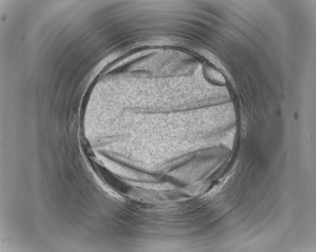 X0000069410845200606021720