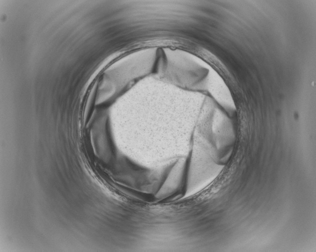 X0000069410852200606021720