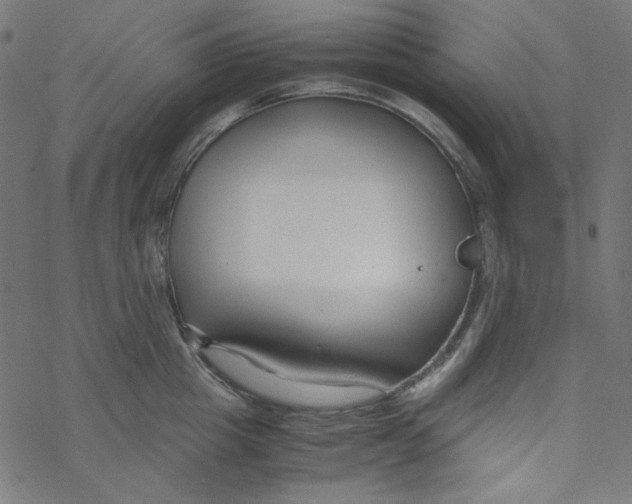 X0000069410857200606021720