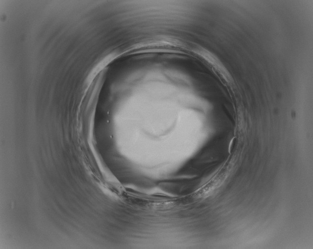 X0000069410858200606021720
