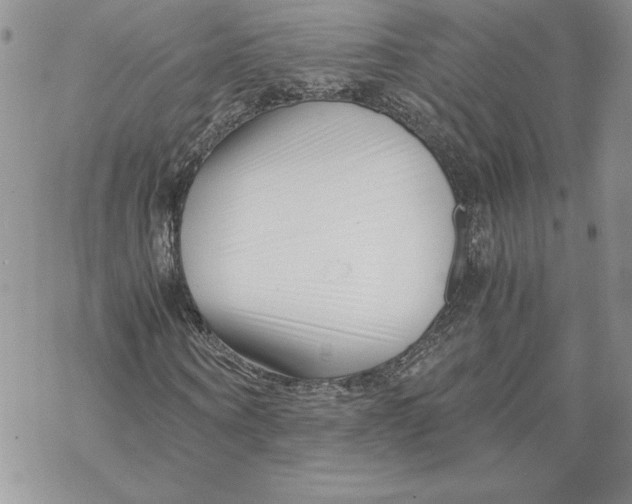 X0000069410866200606021719
