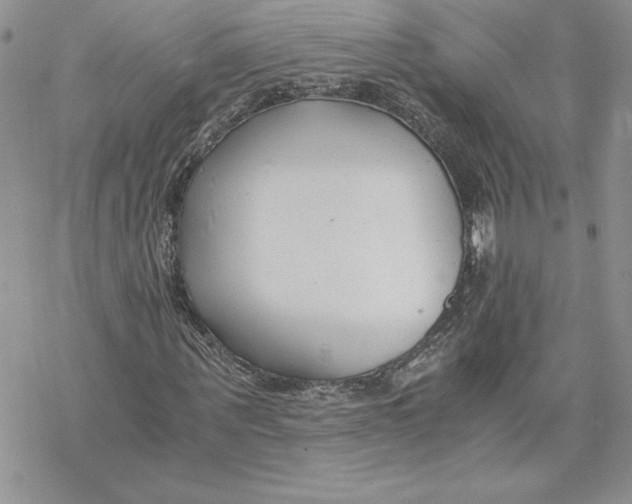 X0000069410867200606021719