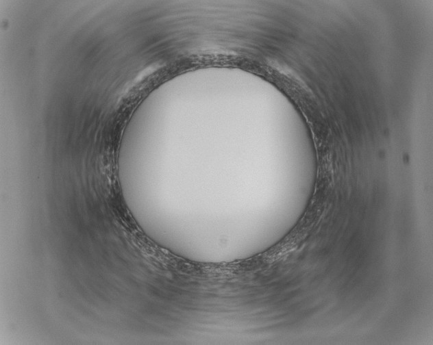 X0000069410870200606021719