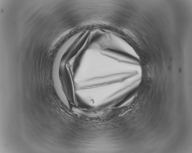 X0000069410872200606021719