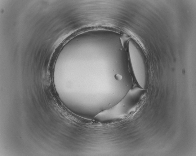 X0000069410876200606021719